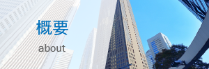 概要