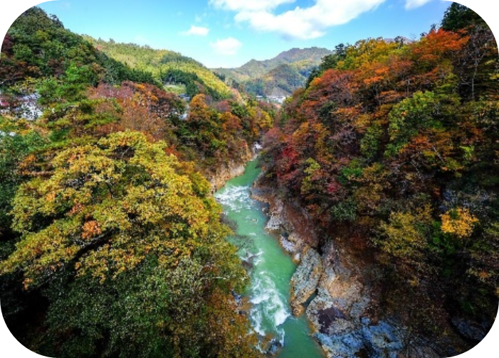 活用事例 自然の中での撮影